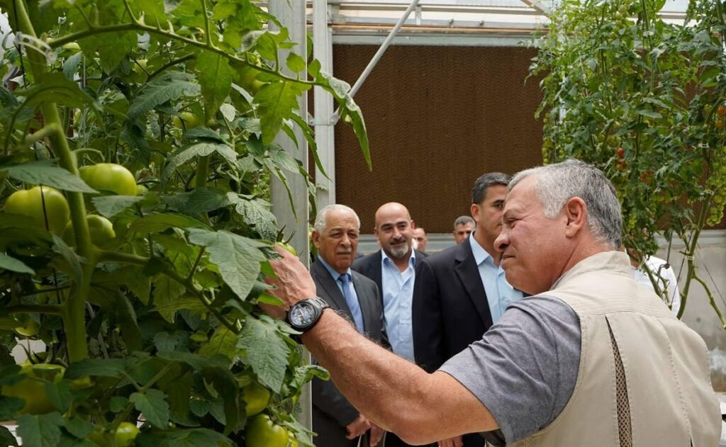 Official visit inspecting tomato plants inside a high-tech greenhouse in Jordan