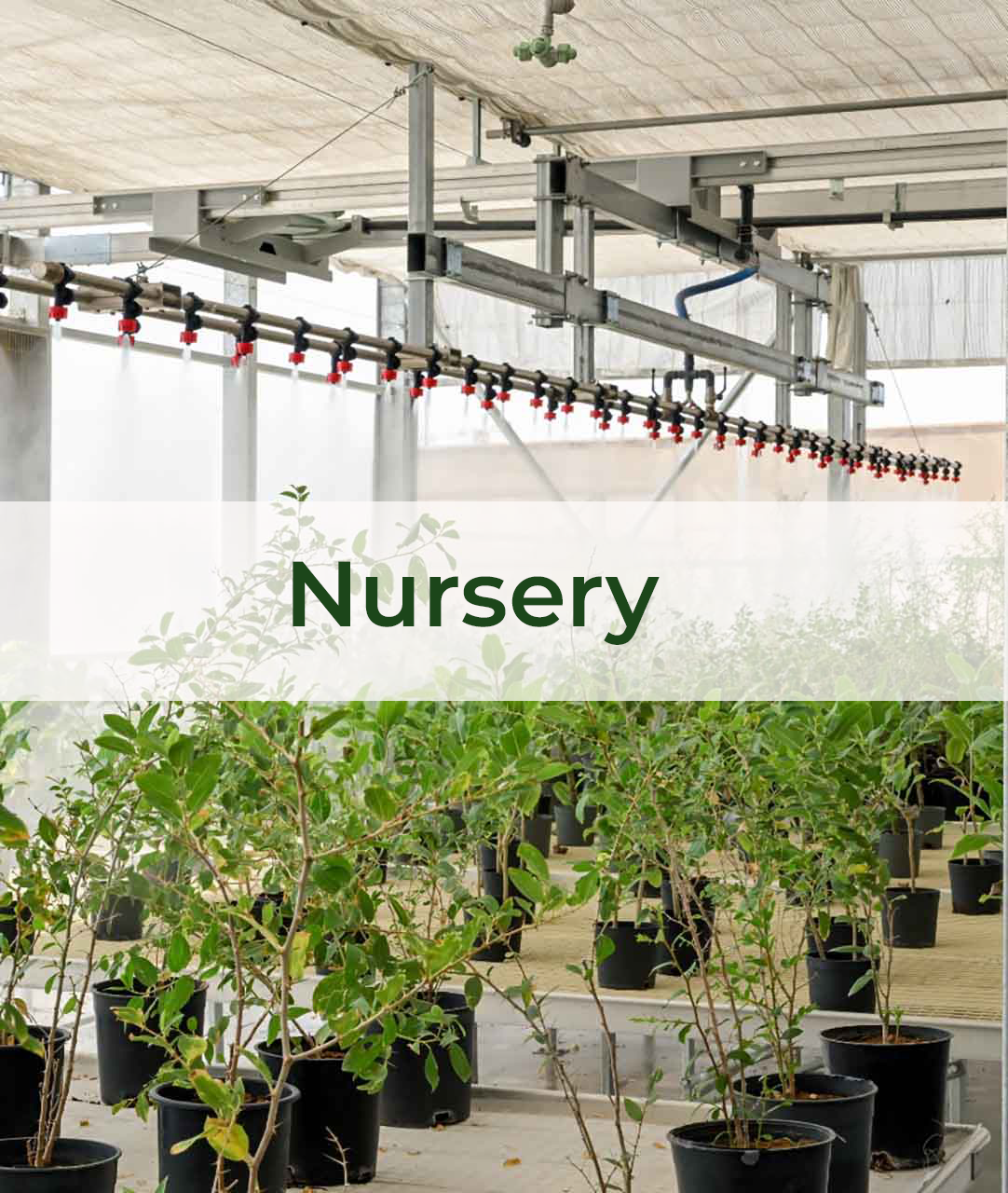 Nursery