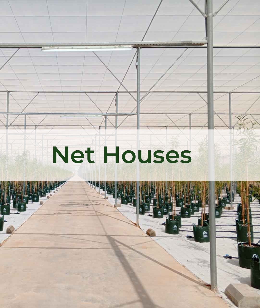 Net Houses