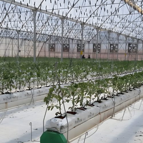 1-DelMonteFoodsJordan3_upscayl_2x_upscayl-standard-4x