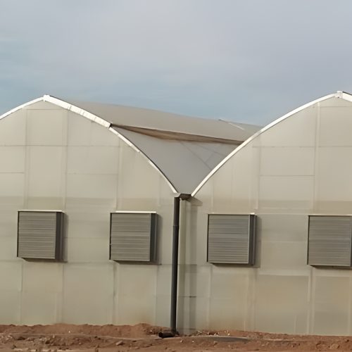 1-DelMonteFoodsJordan5_upscayl_2x_upscayl-standard-4x