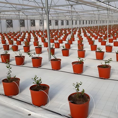 2-Elite-Agro4_upscayl_2x_upscayl-lite-4x