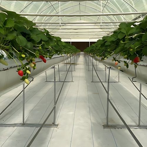 3-Agritek1_upscayl_2x_upscayl-lite-4x