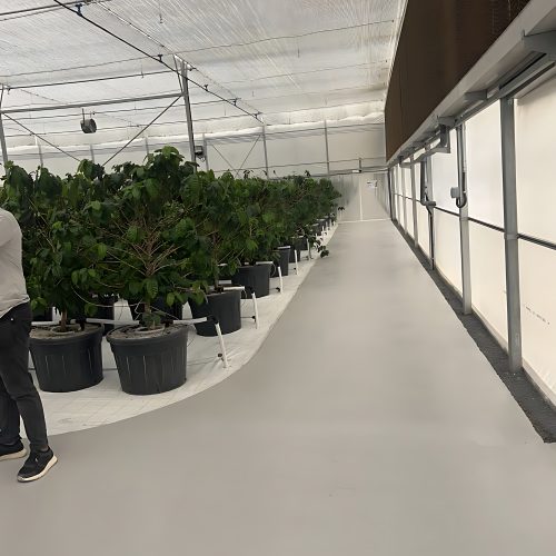 4-EliteAgroProjects1_upscayl_2x_upscayl-lite-4x